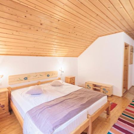 Pensiunea Piatra-Craiului Zarnesti Exterior foto