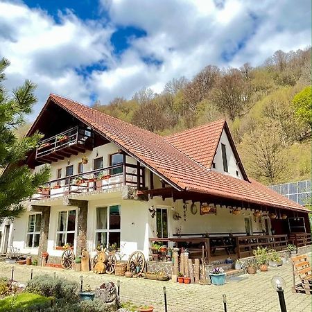 Pensiunea Piatra-Craiului Zarnesti Exterior foto