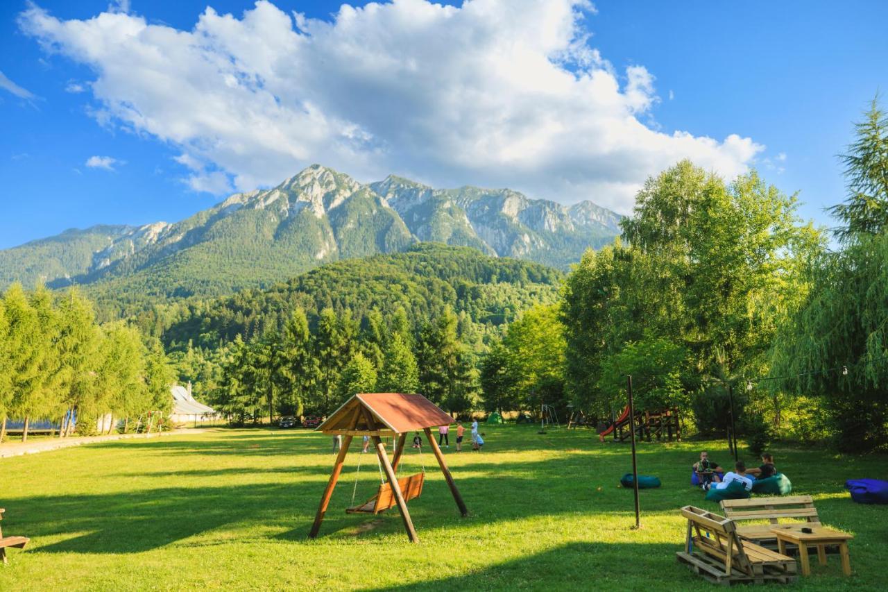 Pensiunea Piatra-Craiului Zarnesti Exterior foto