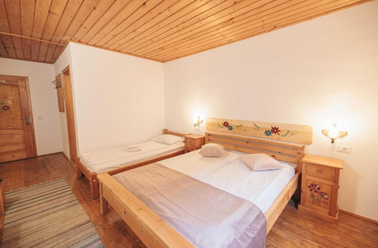 Pensiunea Piatra-Craiului Zarnesti Exterior foto