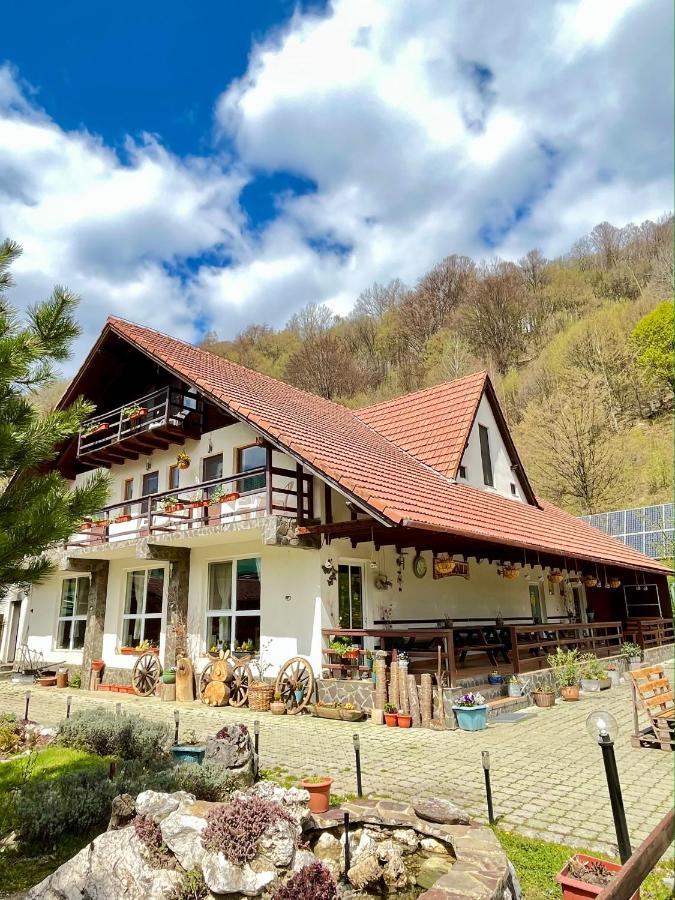 Pensiunea Piatra-Craiului Zarnesti Exterior foto